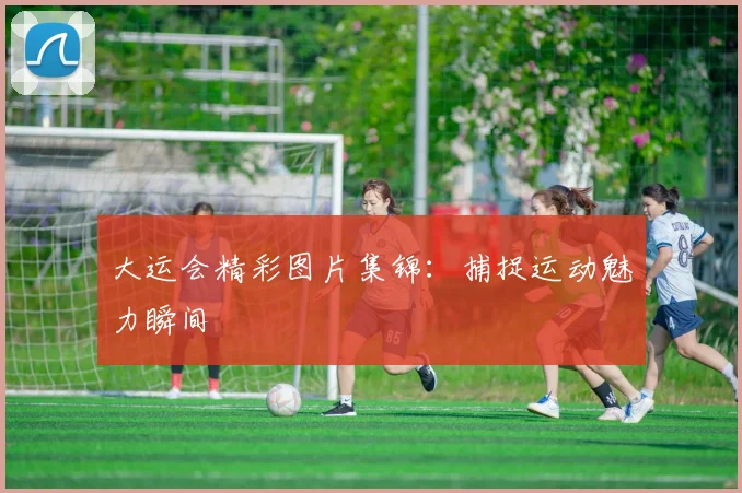 大运会精彩图片集锦:捕捉运动魅力瞬间